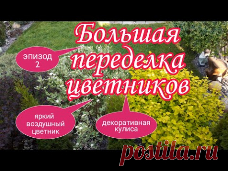 Переделка цветников.Эпизод 2.Создаем лёгкий яркий цветник.Высаживаем красивую изгородь своими руками