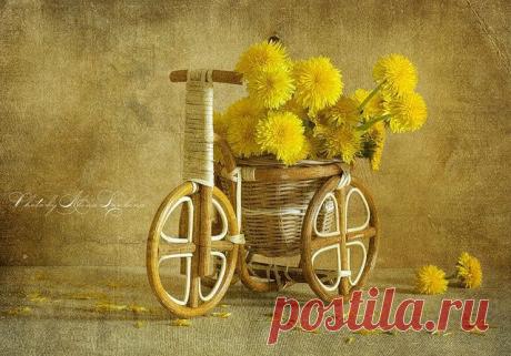 ✿*✿* ВЕРНИСАЖ *✿*✿
Ирина IRINA