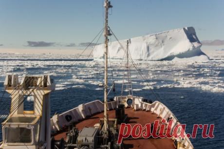 &quot;Адмирал Владимирский&quot;: по дороге домой | Русское географическое общество