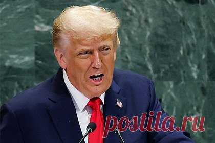 Трамп сделал заявление насчет возможного вручения ему Нобелевской премии