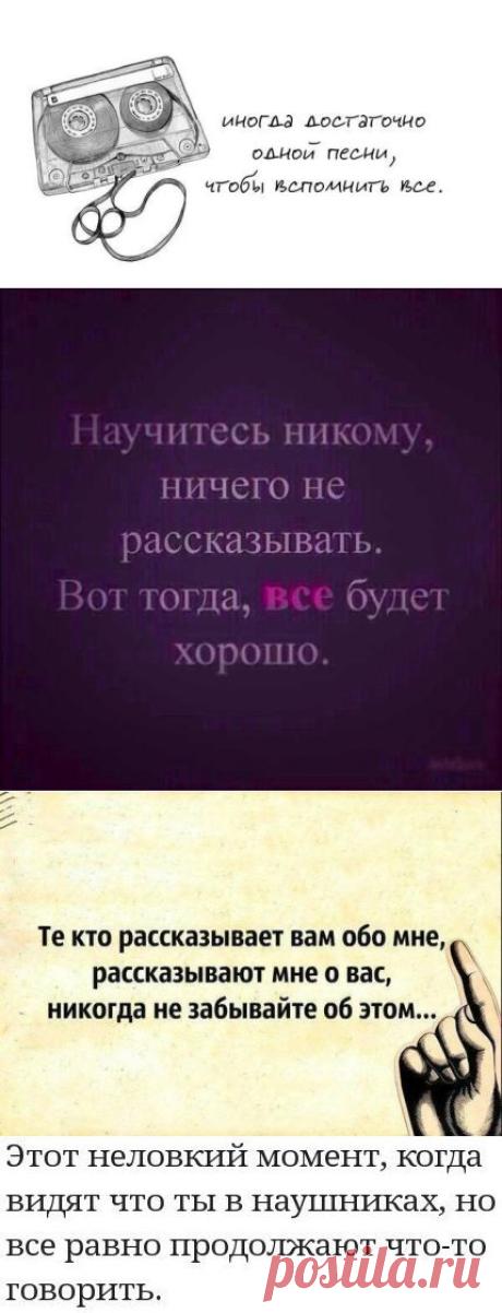 Киса *..*