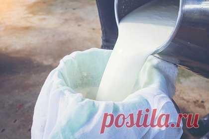 Раскрыта неочевидная опасность сырого молока