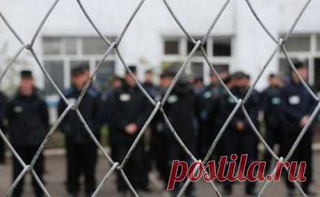Собаки и дубинки также помогут справиться с бунтом в колонии.
