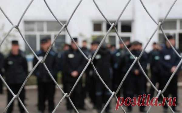 Собаки и дубинки также помогут справиться с бунтом в колонии.