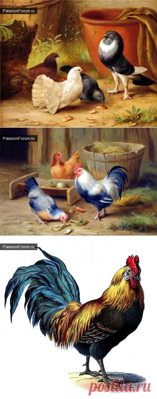 картинки для декупажа часть 9 / Разговоры на любые темы / PassionForum - мастер-классы по рукоделию