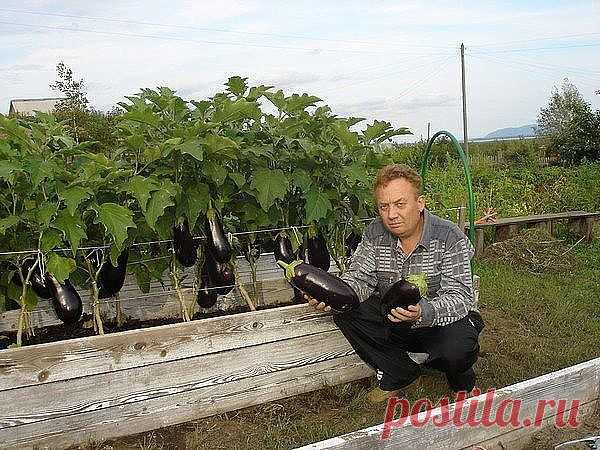 Одноклассники