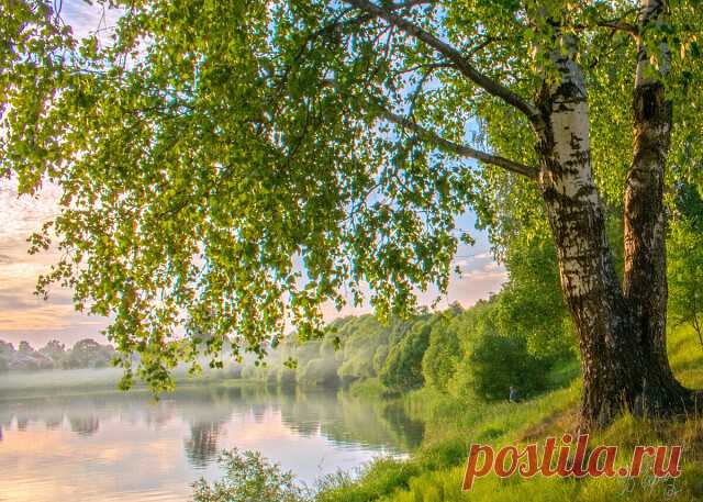 В краю берёзовом, где пахнет росами, 
Осталась юною душа моя, 
Где небо синее, трава с покосами, 
Где дарит силы мне моя земля.