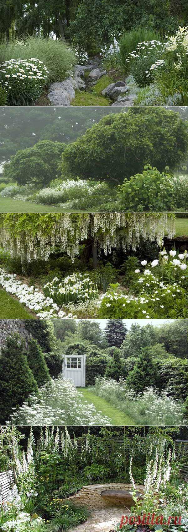 "Лунный" белый сад: необычный ландшафтный дизайн