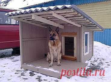 (66) Одноклассники