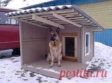 (66) Одноклассники