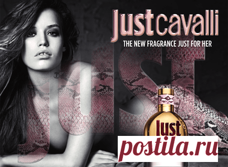 Euphoria Collection № 6 Just Cavalli Roberto Cavalli — Парфюмерия Индиго. Выбери свой аромат