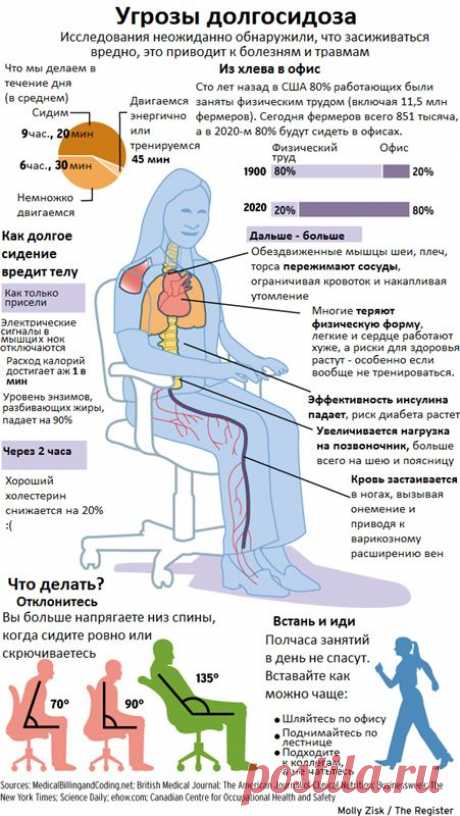 Угроза &quot;долгосида&quot;
Потенциально, каждый человек понимает что такой образ жизни вредит здоровью,
однако большинство даже не подозревают все те последствия, которые приносит здоровью &quot;долгосид&quot;
Как показали исследования, угроза долгосида не только лишний вес. Сидячий образ жизни, особенно за компьютером, приводит к деформации шейного отдела и развитию гипертонии, болезням сердца, и даже усиливается угроза развития сахарного диабета