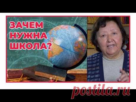 Зачем нужна школа