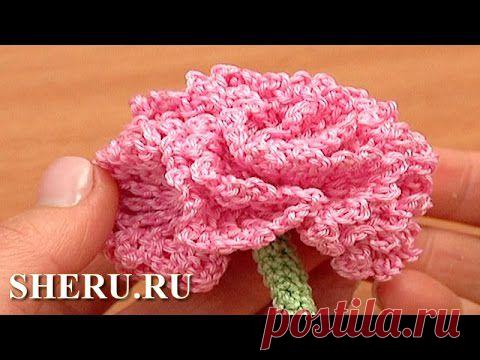 Гвоздика крючком. Урок 77
