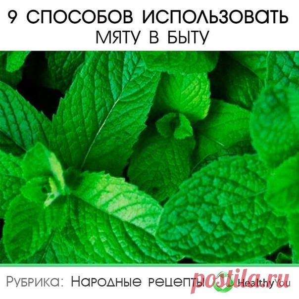 9 СПОСОБОВ ИСПОЛЬЗОВАТЬ МЯТУ В БЫТУ
ᅠ
1. Снятие спазмов в животе
ᅠ
Мята помогает расслабить мышцы пищеварительного тракта и снять спазмы. Поэтому если у вас вдруг на нервной почве скрутило живот, выпейте горячего чая с мятой или просто теплой воды с мятой и лимоном.
Показать полностью…