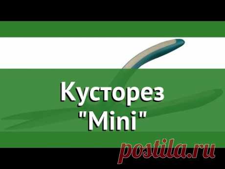 Рейтинг лучших кусторезов 2019: правила выбора надежного инструмента | Тысяча и одна идея