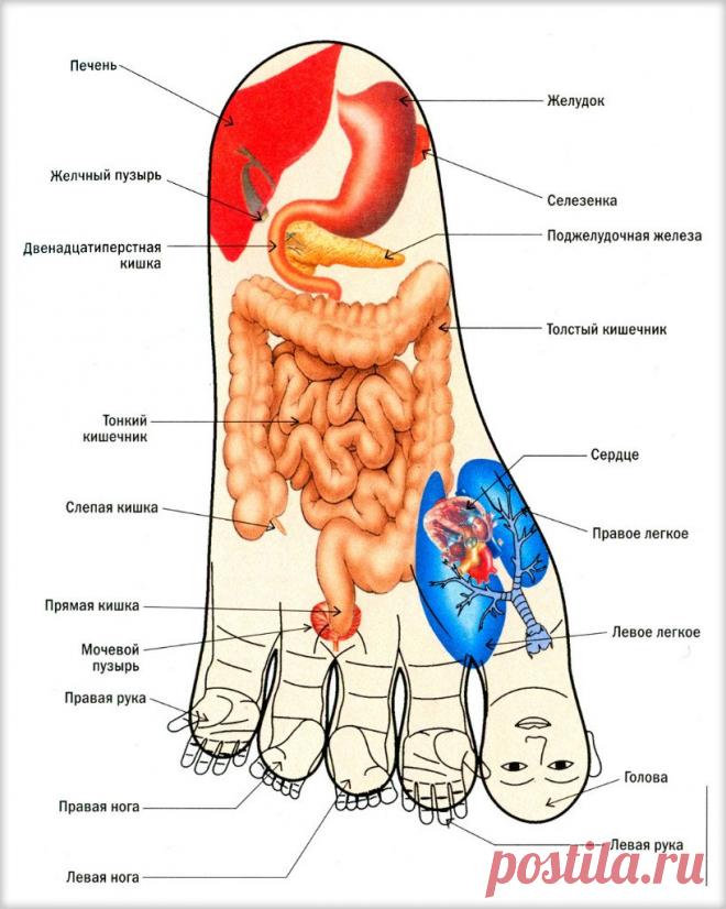 AtLIW7ZQgCo.jpg (818×1024)