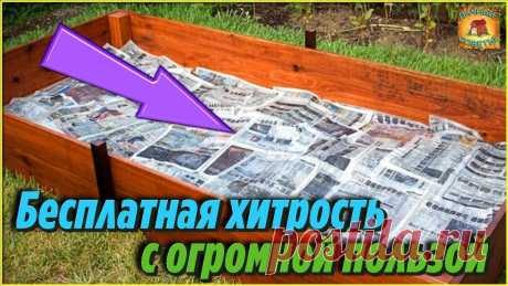 Бесплатная хитрость с огромной пользой! Вот почему я выстилаю газеты на грядки Дачные Советы