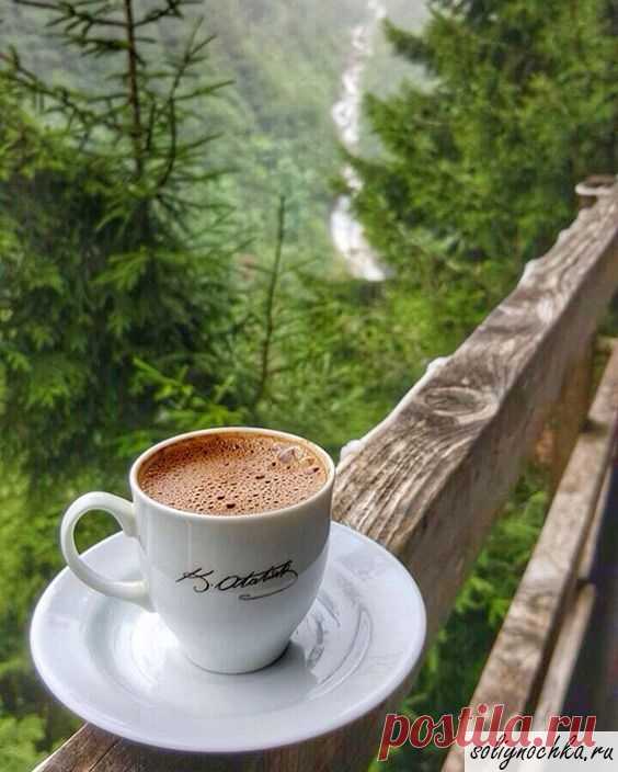 Чашка кофе на деревянных перилах на фоне леса. Фото на тему 