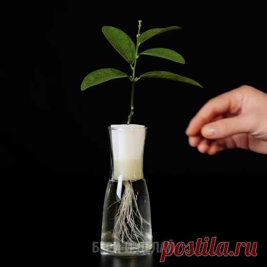 И почему я раньше этого не знал,это так просто!))