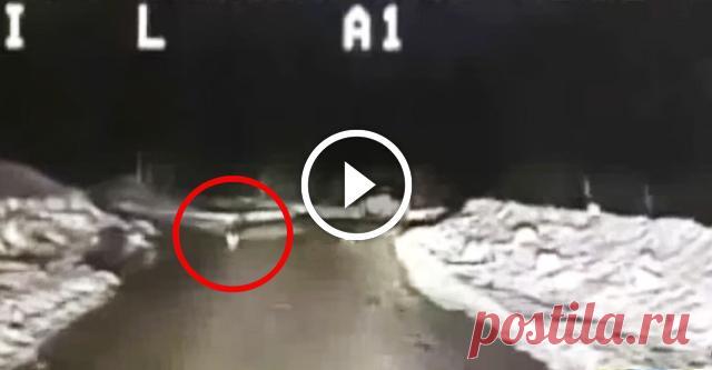 Собака остановила полицейский патруль чтоб спасти своего хозяина