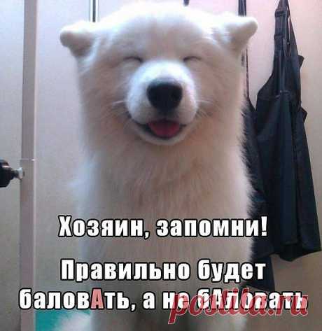 Р.Я.