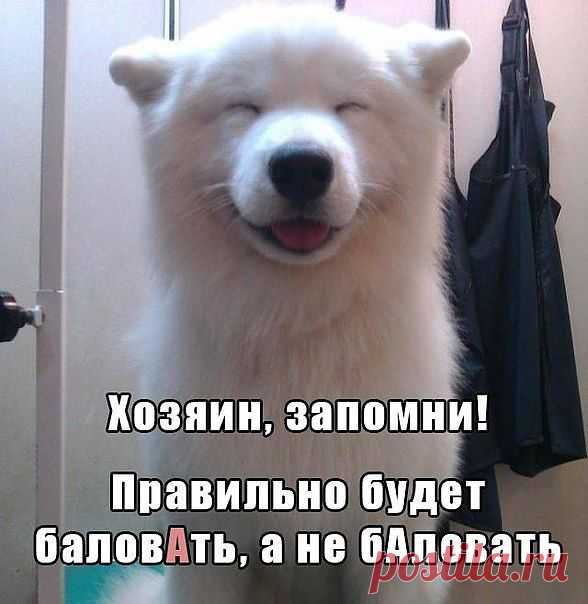 Р.Я.