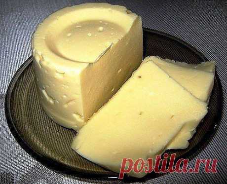 Вкусный сыр