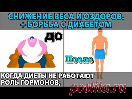 - Почему диеты не работают?
- Проблемы с весом: возможные причины и методы корректировки;
- Роль в этом процессе тех или иных гормонов и биохимия организма;
- Где взять энергию на действие, на изменения себя и с чего начать оздоравливаться?
- Почему на самом деле в Японии так много долгожителей?
- Как предотвратить или избавиться от сахарного диабета?
- 20 простых и понятных метода оздоровления и корректировки веса.