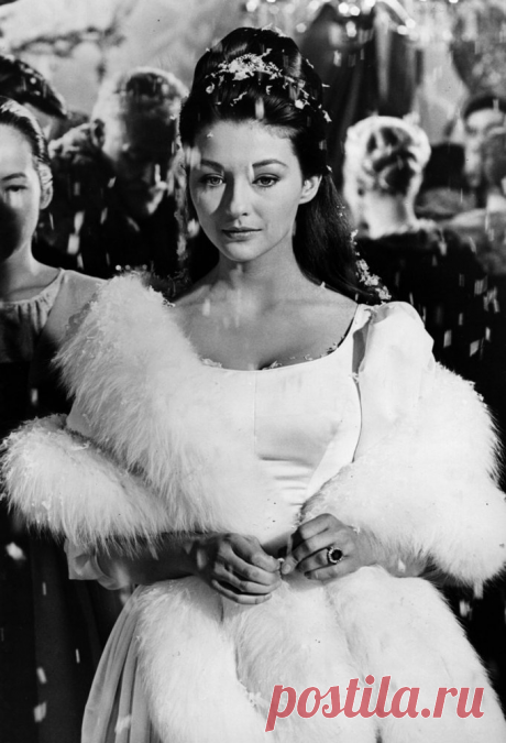 Актеры Тони Кёртис и Кристина Кауфманн. Несколько слов об их браке и работе | оксана жданова | Яндекс Дзен