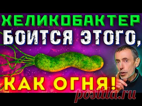 Хеликобактер Боится Этого, Как Огня! Болезни Желудка, Хеликобактер Пилори