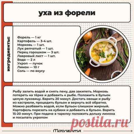 Уха из форели