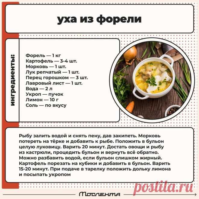 Уха из форели