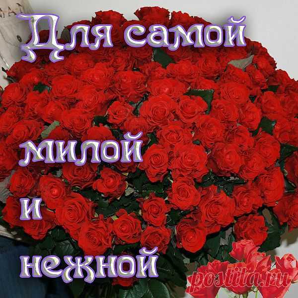 0_6e7af_25fa75bc_XL (600×600)
