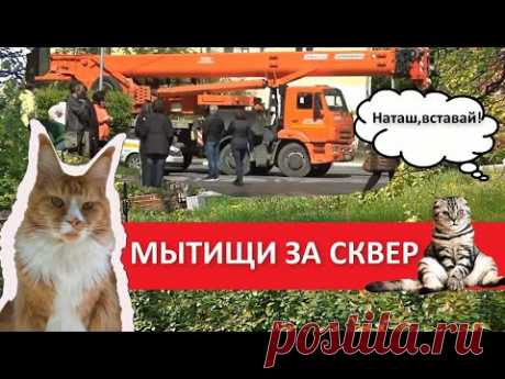 Мытищи за сквер. Наташа и коты
