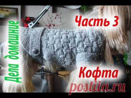 Кофта для собаки своими руками.Уроки вязания на канале ''Дела домашние''.