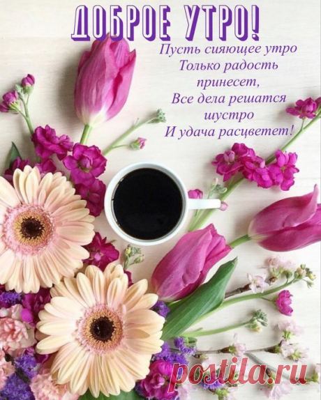 (904) Pinterest