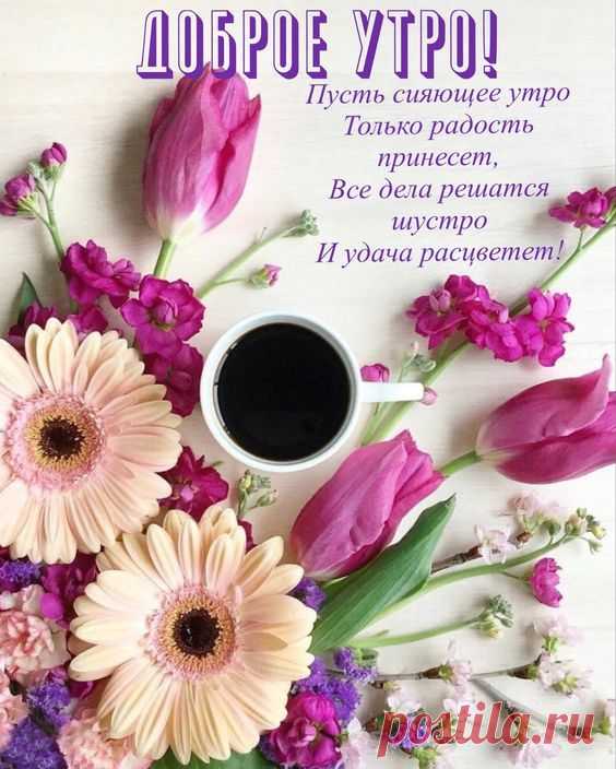 (904) Pinterest