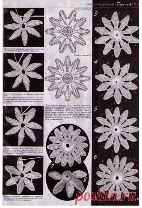彩凤双翼的日志 - 网易博客