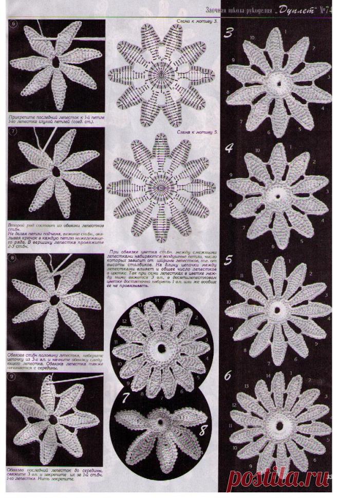 彩凤双翼的日志 - 网易博客