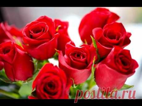 amor es traer una persona a tu vida no a tu cama - Buscar con Google