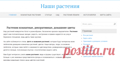 Растения комнатные, декоративные, домашние цветы фото