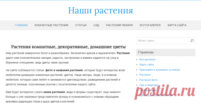 Растения комнатные, декоративные, домашние цветы фото