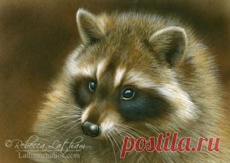 Загляните в студию — 29 января 2014 г. | Картины дикой природы и природы Ребекки Лэтэм