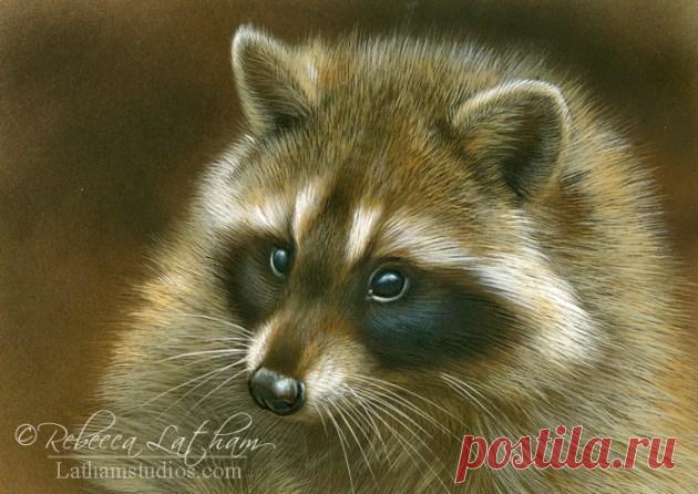 Загляните в студию — 29 января 2014 г. | Картины дикой природы и природы Ребекки Лэтэм