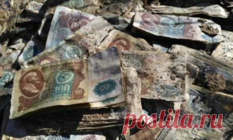 В лесах под Владимиром обнаружили миллиарды рублей :: Омск :: RusNews
