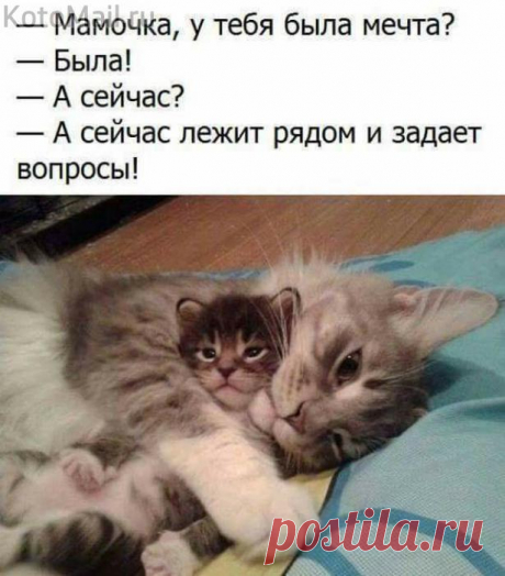 Мечта