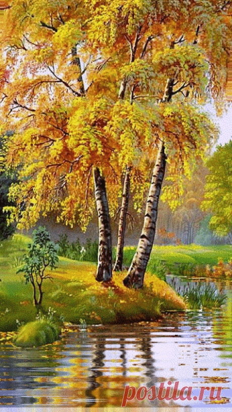 dioci vale - Google+