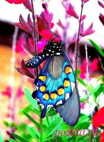 Постарайтесь сберечь то, что дорого сердцу.
Постарайтесь любовь и мечту не терять.
От ошибок, увы, никуда нам не деться, -
Не теряйте способности ближних прощать.
Оградите родных от случайных раздоров,
От непрошеных слёз и нелепых обид.
От пустой клеветы и людских приговоров,
Не тревожьте души, что ночами болит.
Не губите ростки самых дерзких желаний,
Не рубите под корень доверья стволы.
Воздержитесь от склок и немых притязаний.
Затворите сердца от колючей молвы.