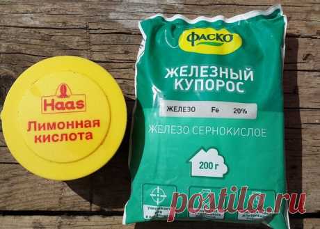 Железный купорос: Обработка сада от болезней и вредителей